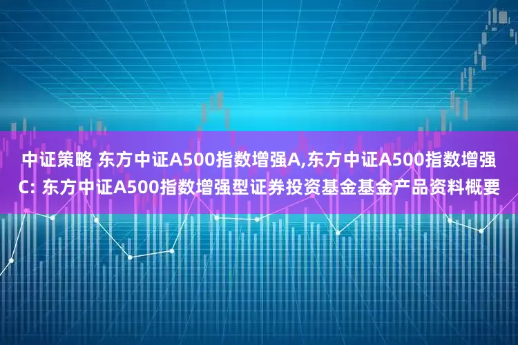 中证策略 东方中证A500指数增强A,东方中证A500指数增强C: 东方中证A500指数增强型证券投资基金基金产品资料概要