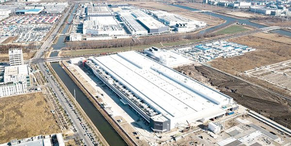 八戒策略 制造业锚定产能高地 金融业抢滩开放红利